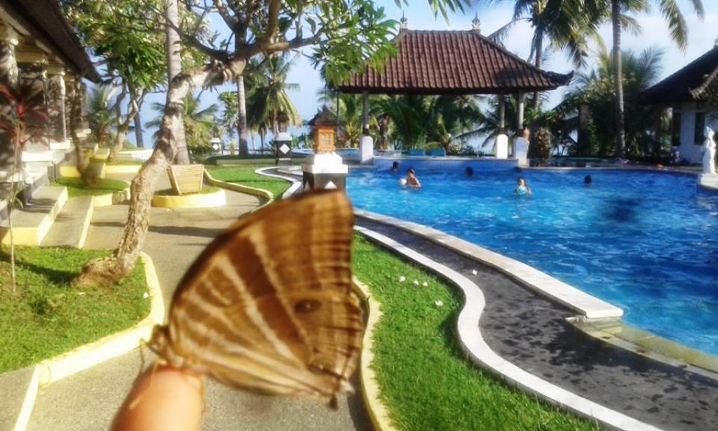 Bali Sunset Hotel Negara (Bali) Exterior foto